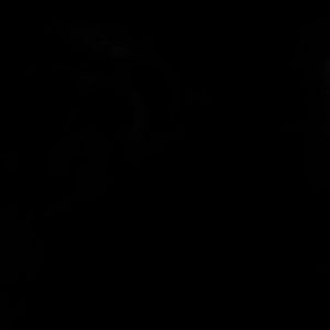 Meet your Posher, Lorie