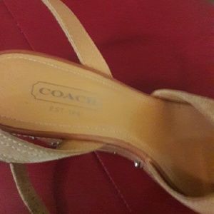 CoachShoe Size 8m