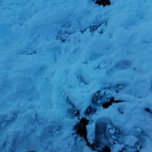 Meet your Posher, Genaro