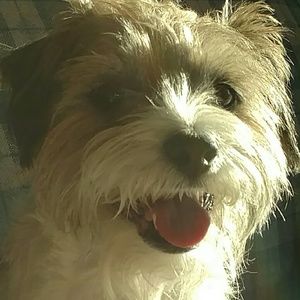 Meet your Posher, Debra