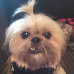 Meet your Posher, Kristy