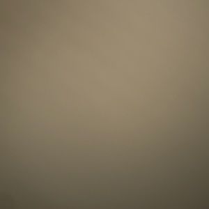 Meet your Posher, Dante