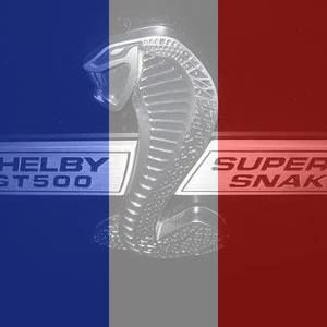 Meet your Posher, Randy