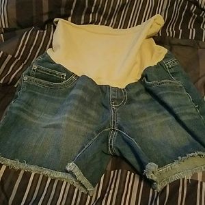 Maternity Shorts
