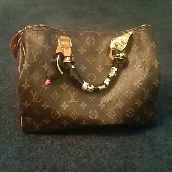 Louis Vuitton speedy 30 monogram