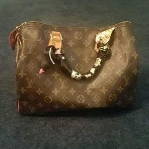 Louis Vuitton speedy 30 monogram