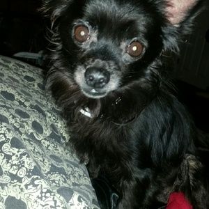 Meet your Posher, Cora