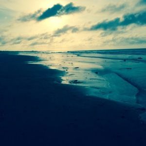 Meet your Posher, Rose