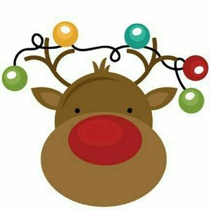 Meet your Posher, Araceli