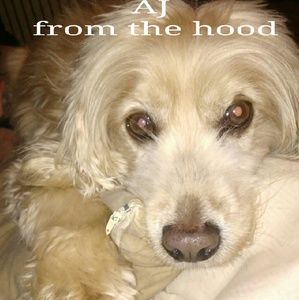 Meet your Posher, Al