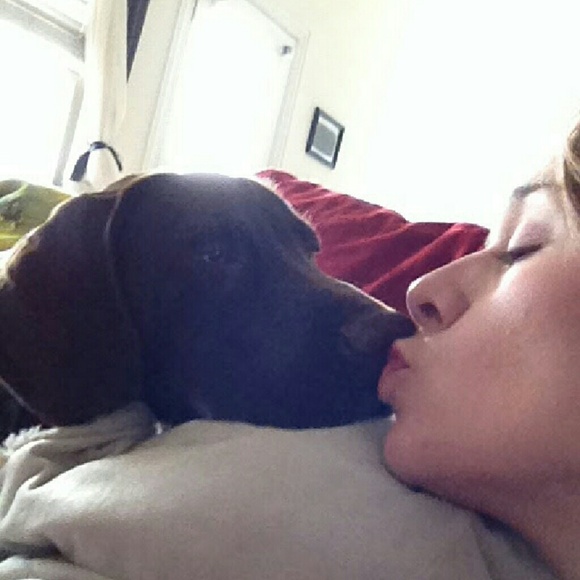 Meet your Posher, Tessa - Picture 2 of 2