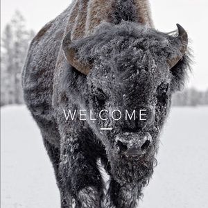 Meet your Posher, Black