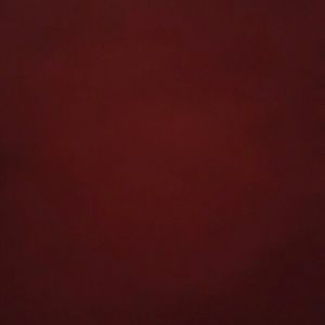 Meet your Posher, Carlita