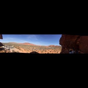 American Apparel Bikini