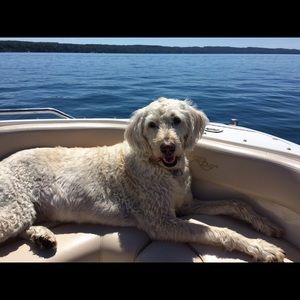 Meet your Posher, Kim