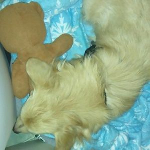 Meet your Posher, Jackie