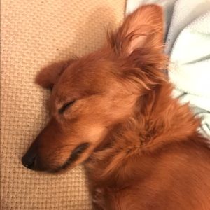 Meet your Posher, Kai