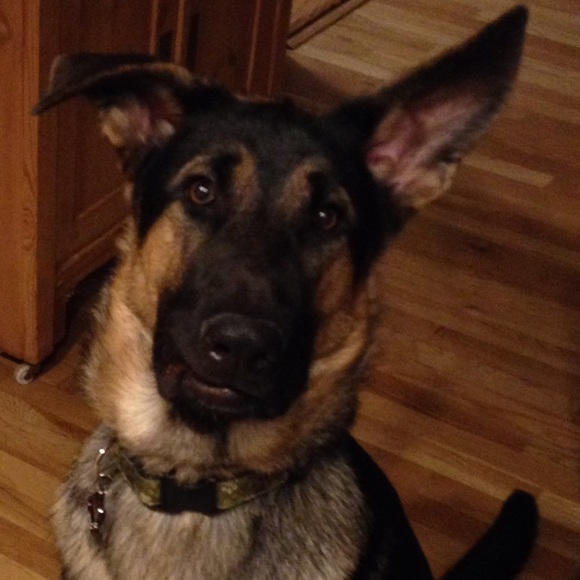 Meet your Posher, Maritza - Picture 1 of 1