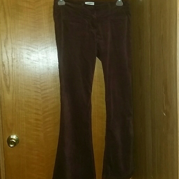 The perfect AXARA Paris velvet like pants sz 8 - Picture 2 of 4