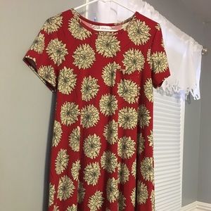 LuLaRoe Carly Dress (small)