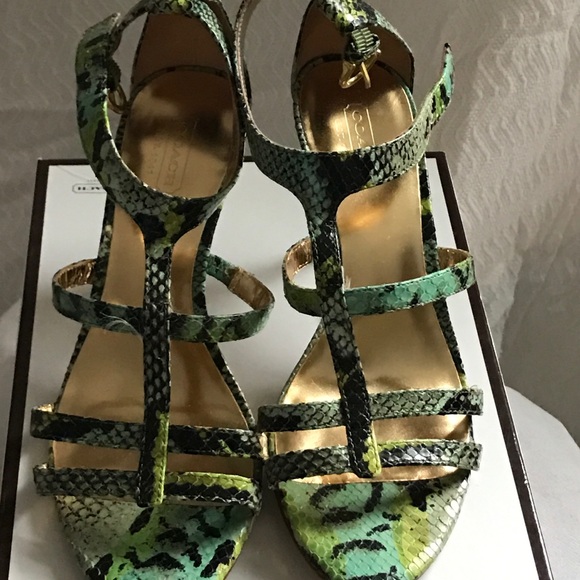 Coach Shoes - Picture 1 of 4