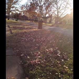 Meet your Posher, Evelyn