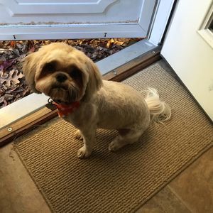 Meet your Posher, Nancy