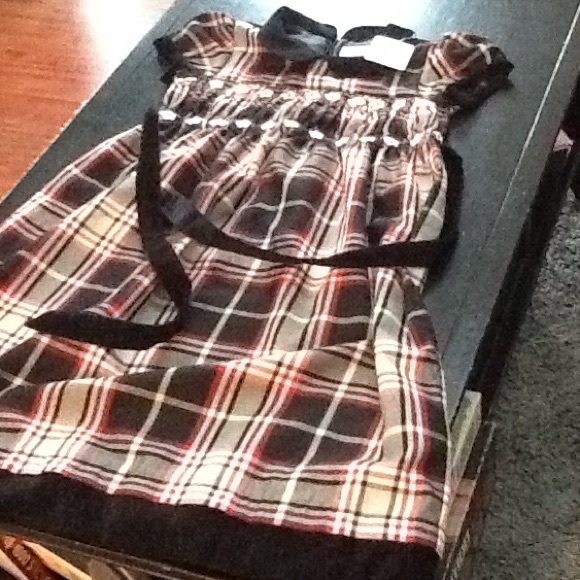NWT Hanna Andersson dress with velvet trim. - Picture 3 of 4