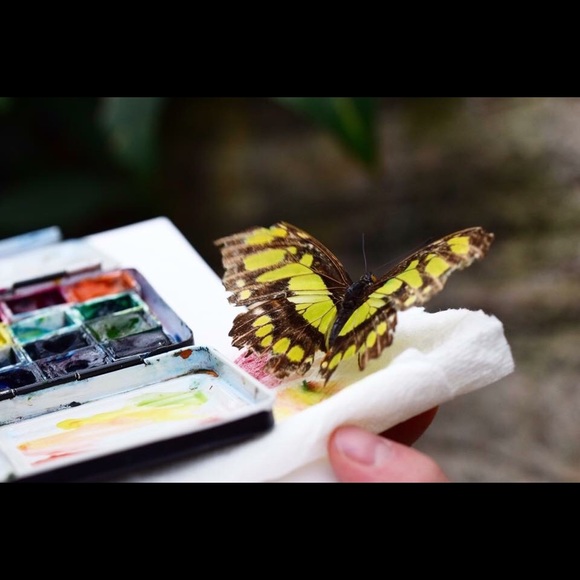 Meet your Posher, Carrie - Picture 5 of 8