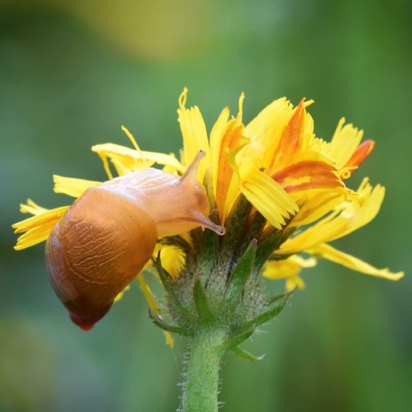 Meet your Posher, Carrie - Picture 8 of 8