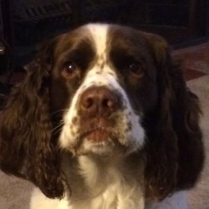 Meet your Posher, Sally