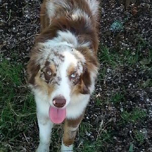 Meet your Posher, Kristy