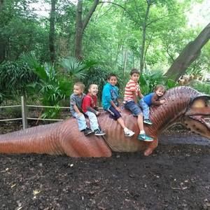 Meet your Posher, Debbie