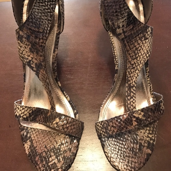 Cute Leopard Heels 👠