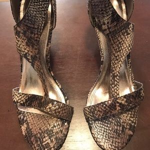 Cute Leopard Heels 👠