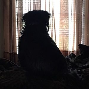 Meet your Posher, Tina