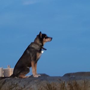 Meet your Posher, Hazel