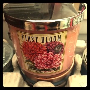 Bundle for @devinedimples74