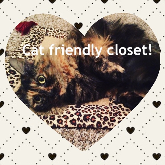 PLUS SIZE CLOSET! - Picture 2 of 5