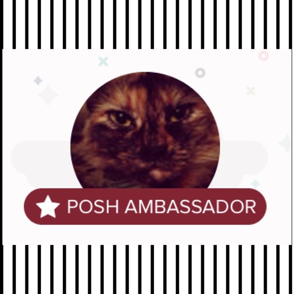 PLUS SIZE CLOSET! - Picture 5 of 5