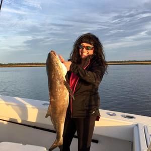 Meet your Posher, Karen