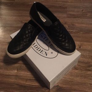 Steve Madden Ecentrcq