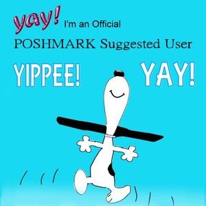 Poshmark Suggested User