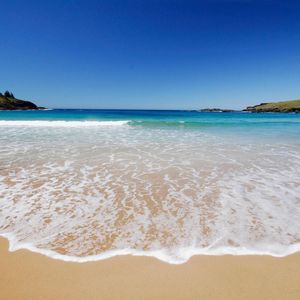 Meet your Posher, Bim