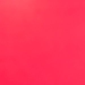 Meet your Posher, Daniela