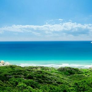 Meet your Posher, Audrey