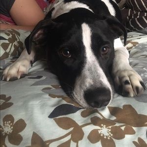 Meet your Posher, Clowey