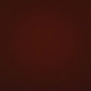 Meet your Posher, Tommy