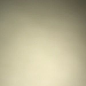 Meet your Posher, Charles