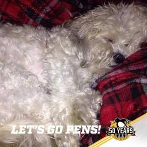 Meet your Posher, Linda